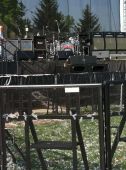 Concert solo 2013 0705_naperville slash (7)